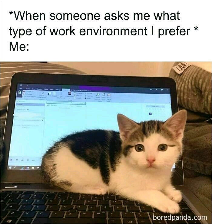 .