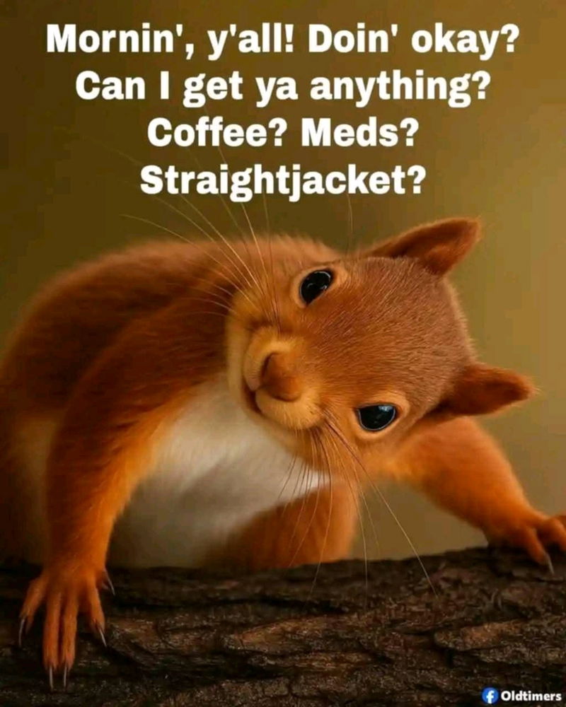 Anything? 🐿