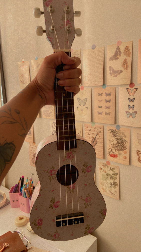 Começando a segunda cantando e tocando