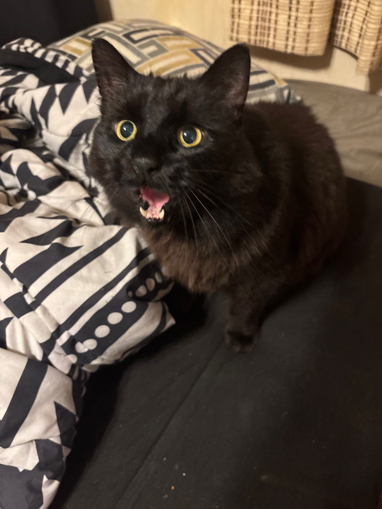 My monster!