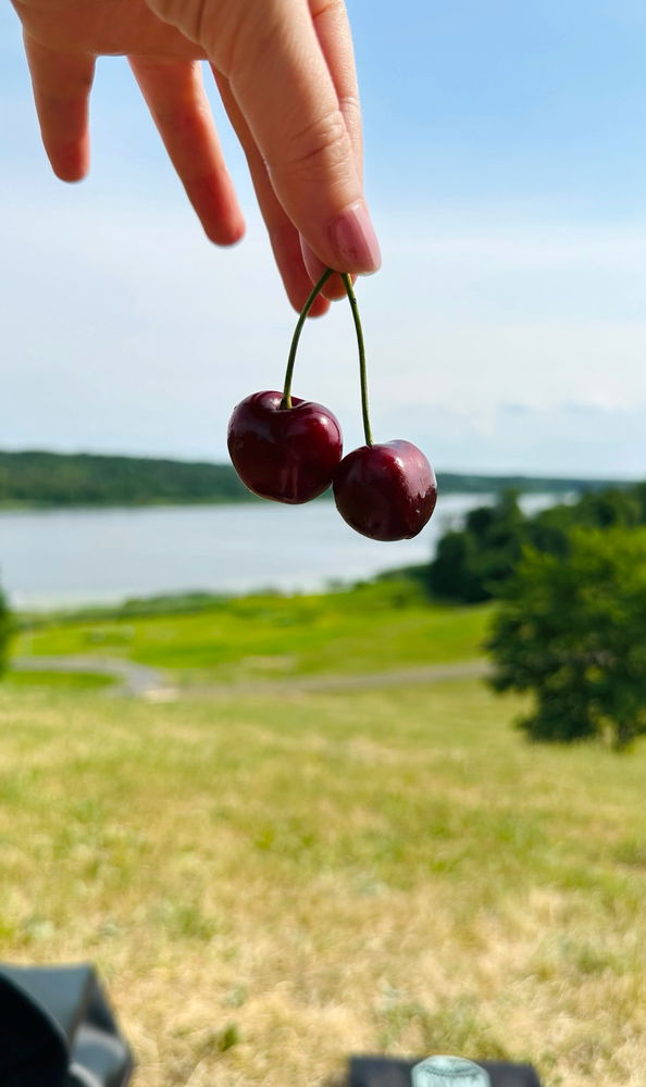 Cherry 🍒