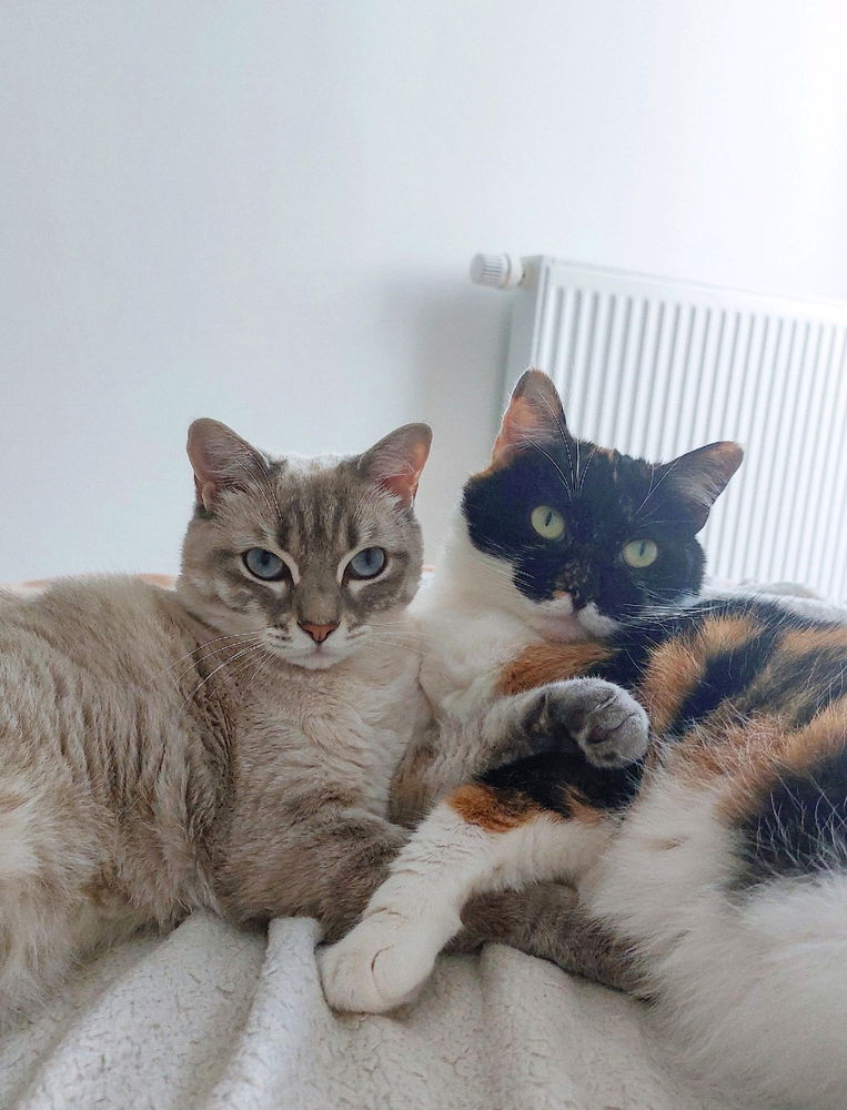 Nala et Milky