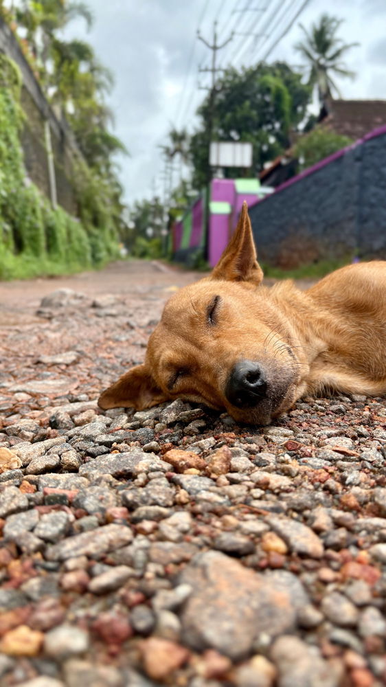 Sleep