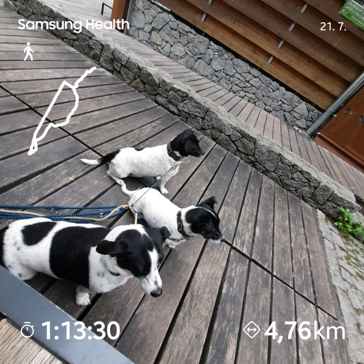 Pondělní procházka po Sušici