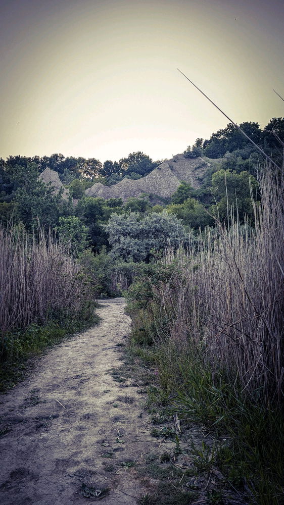 Scarborough Bluffs 🏞️