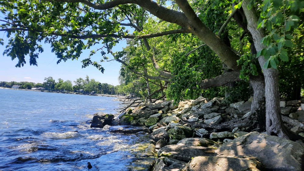 Erie Trip
