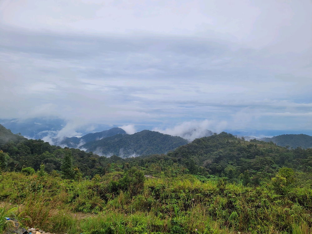 Malaysia 🇲🇾