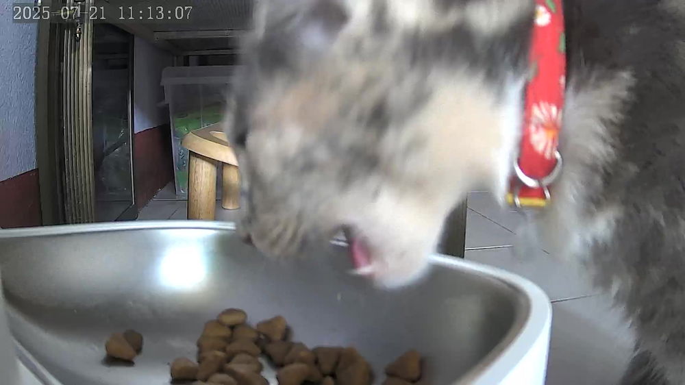 Nom nom nom