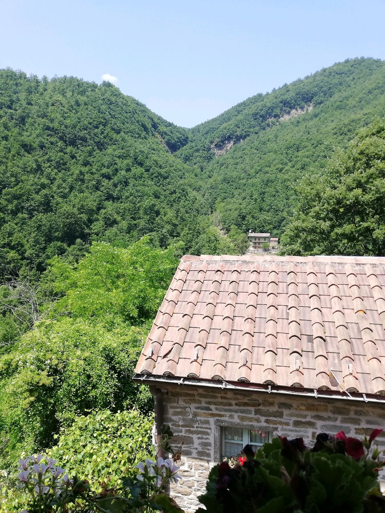 Summer in Italy