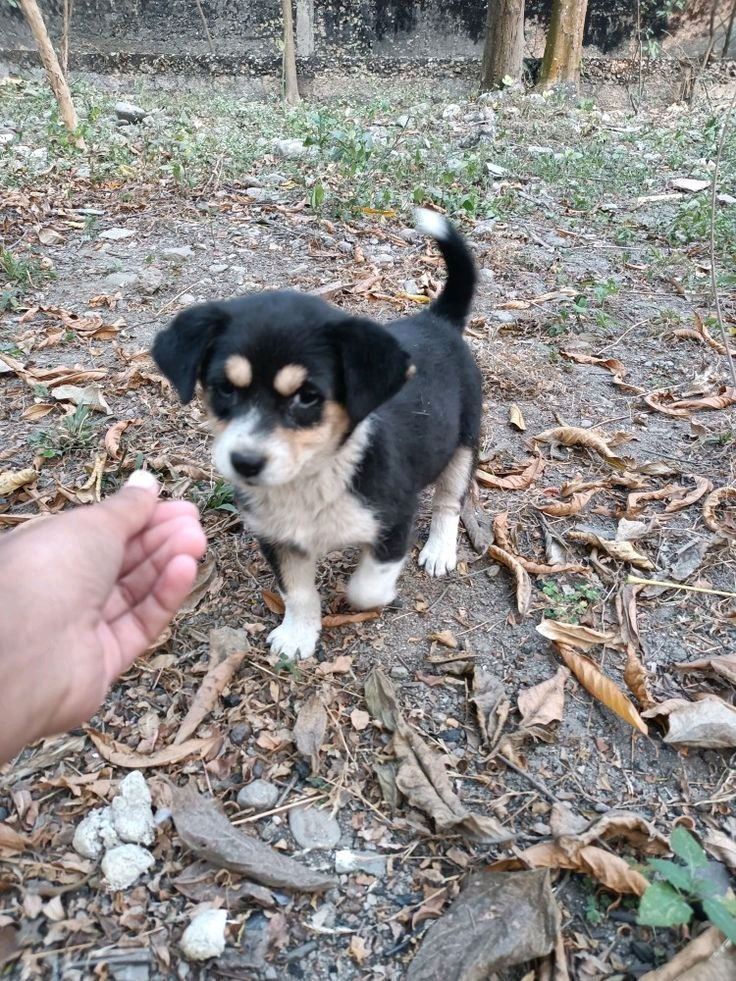 ❤️