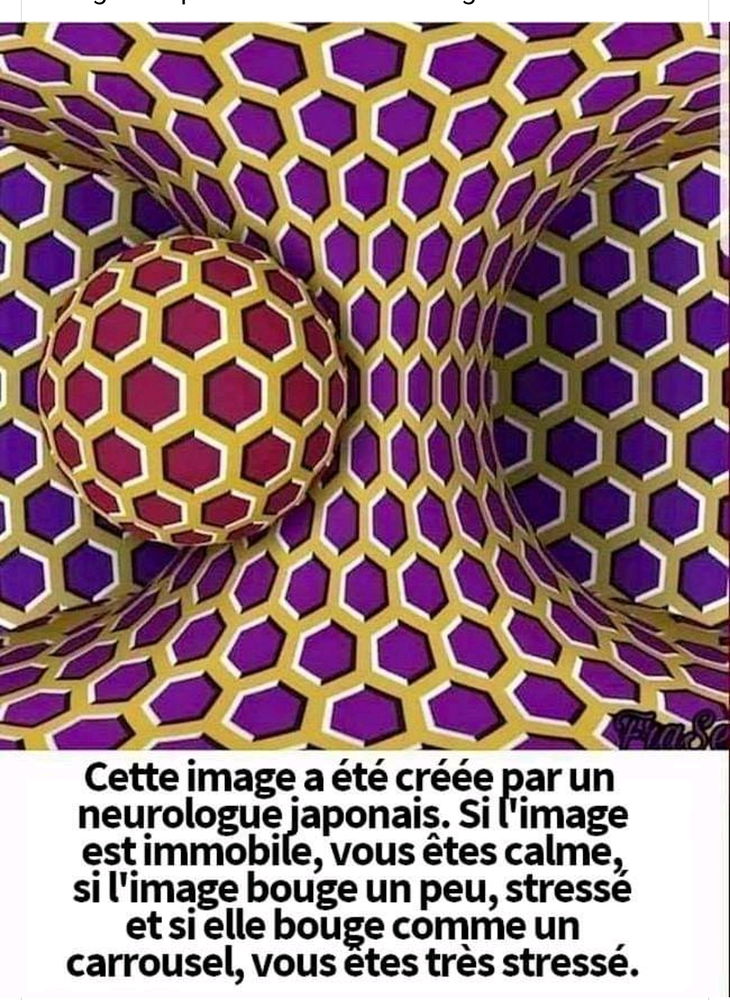 illusions d'optique