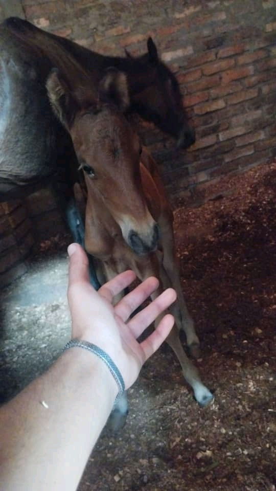 Simplemente hermoso😍