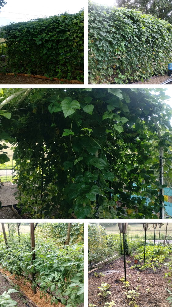 Garden Selfies