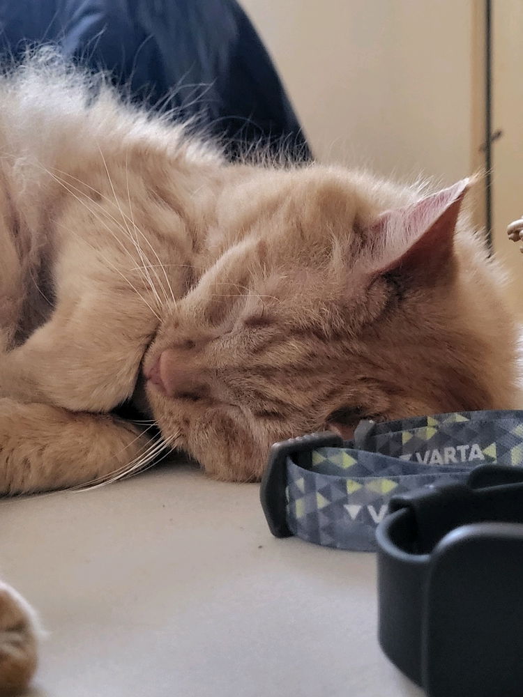 Sleepy ;)