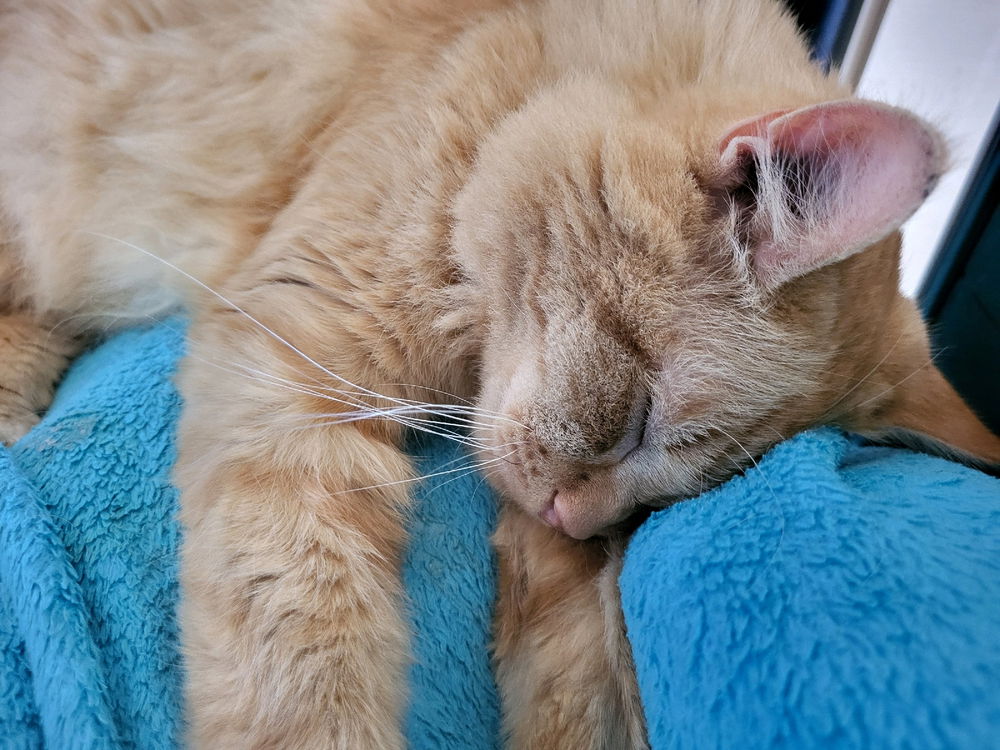 Sleepy ;)