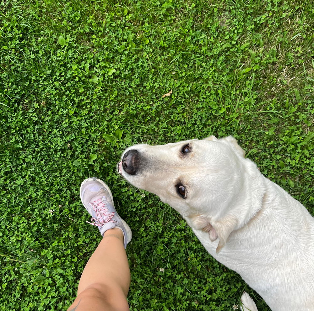zase tady, miluju to ❤️