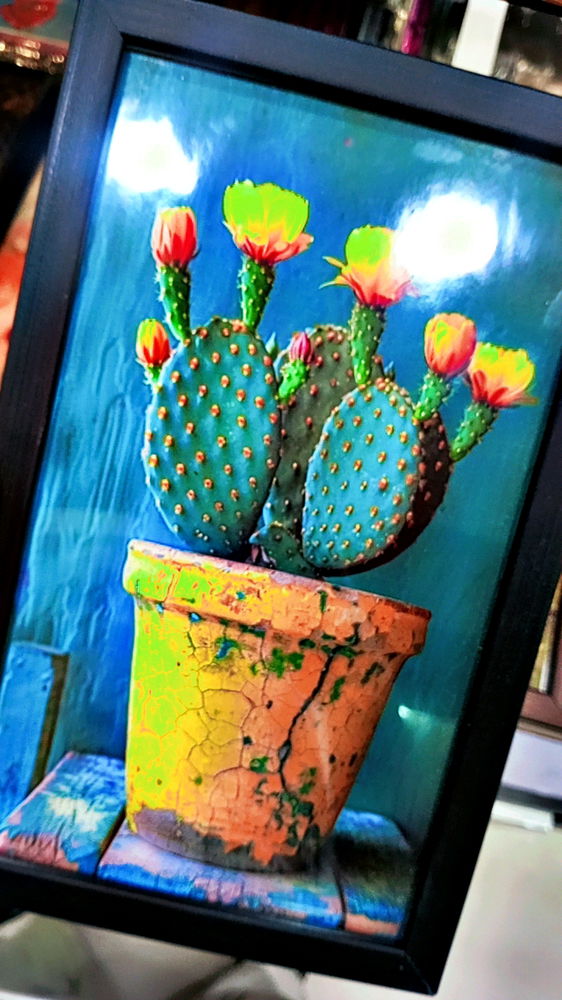 Cactus