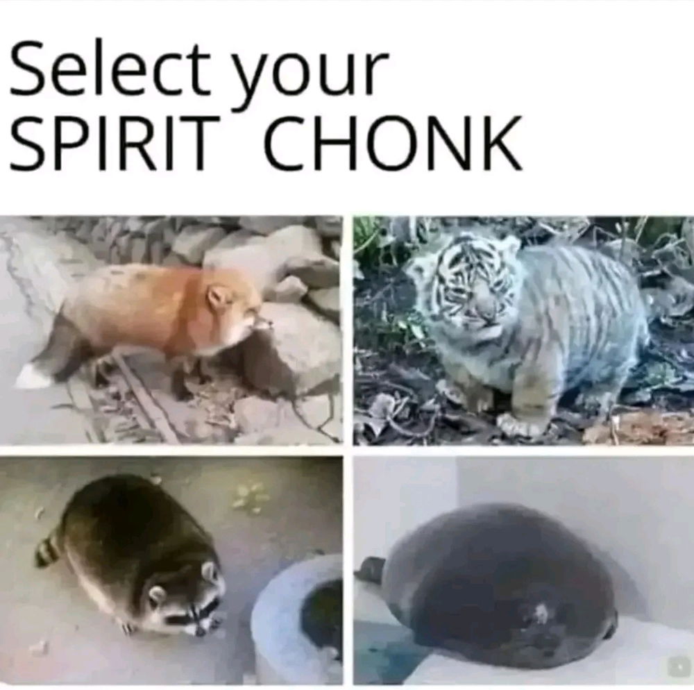 Choose wisely