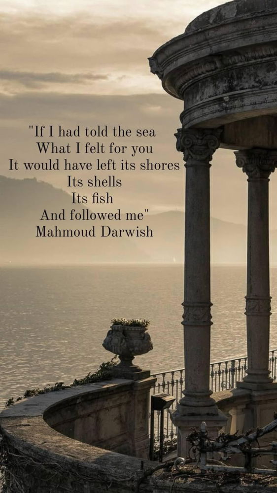 - Mahmoud Darwish