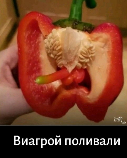 Жгучий  перец 😁🔥