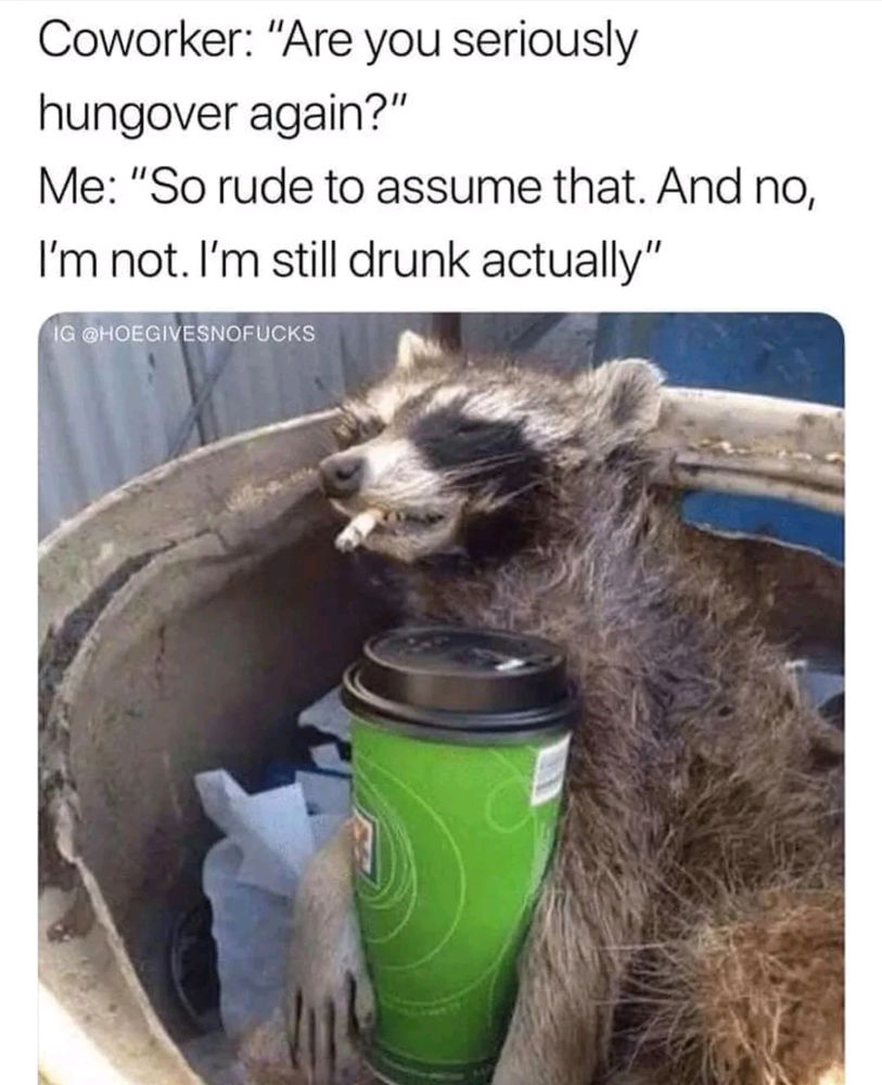 🎯🥴
