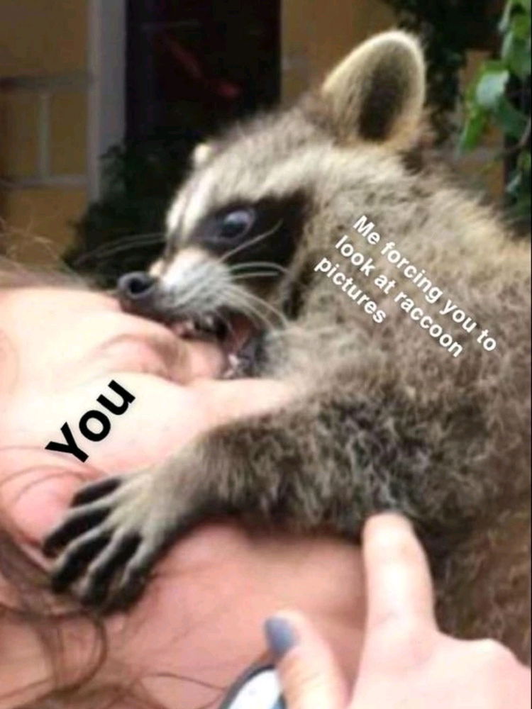 🎯💯😆😌🥰🦝✨⚡❤️