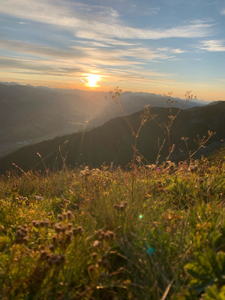Montain view