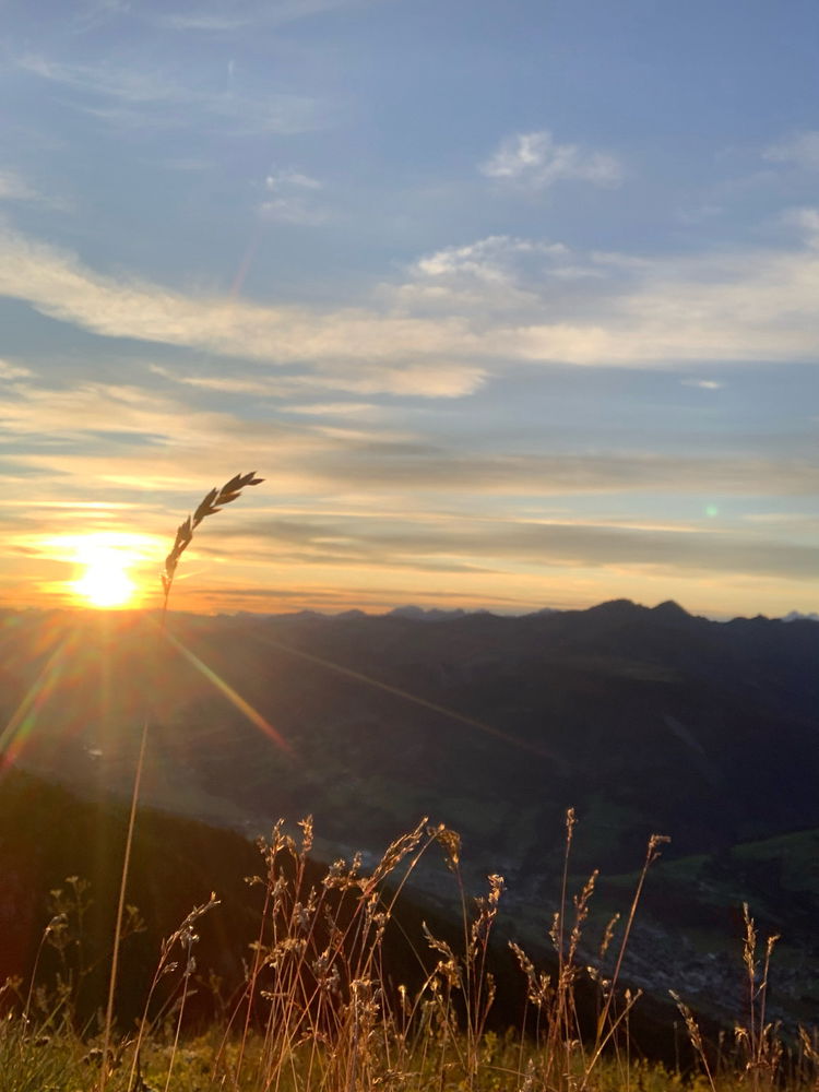 Montain view