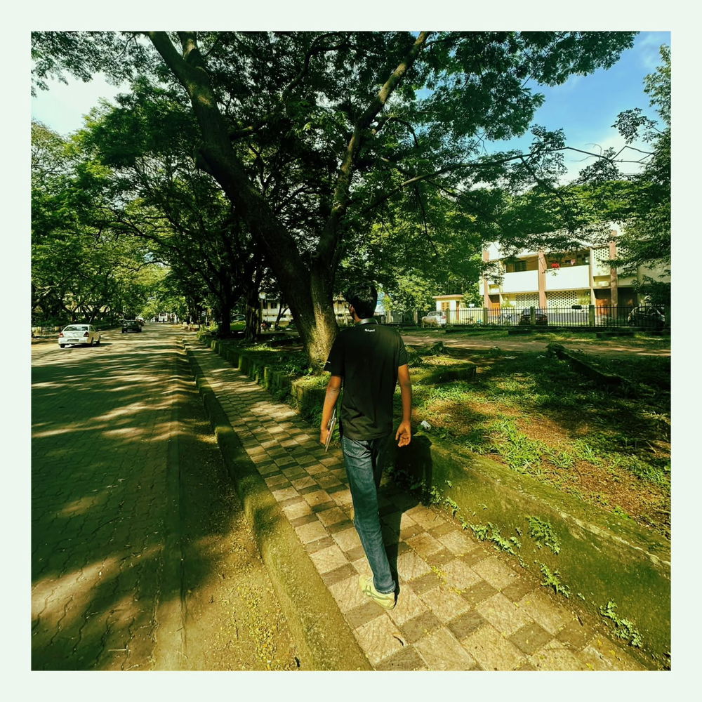 This path feels like love
quiet, soft, and a little lonely
