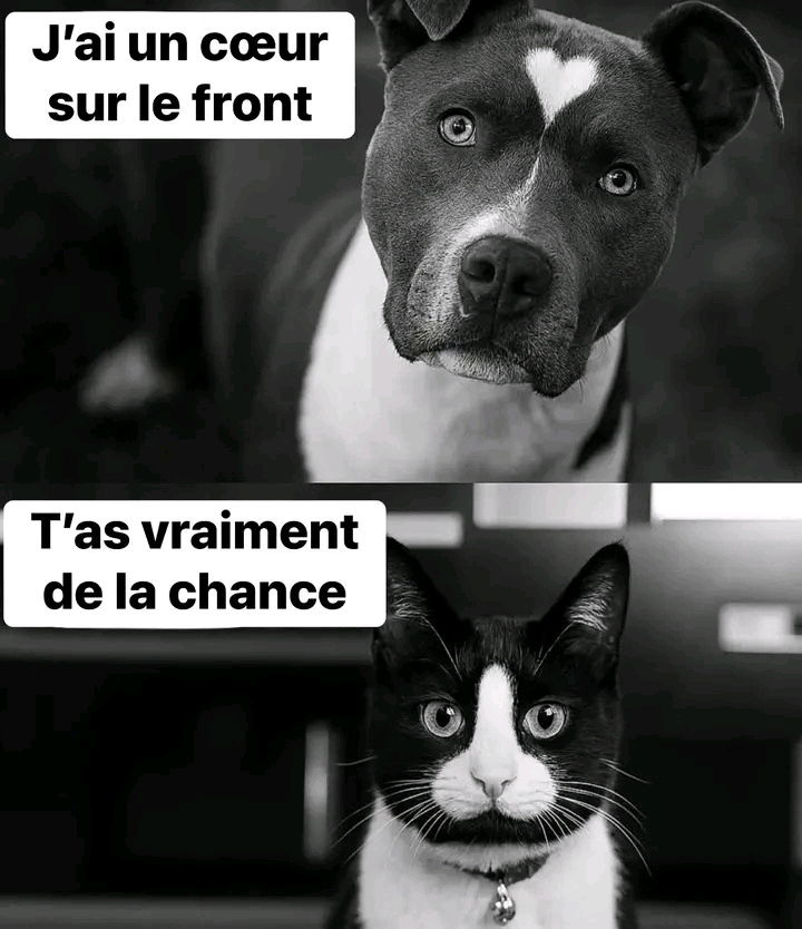 Ca aurait pu être pire lol