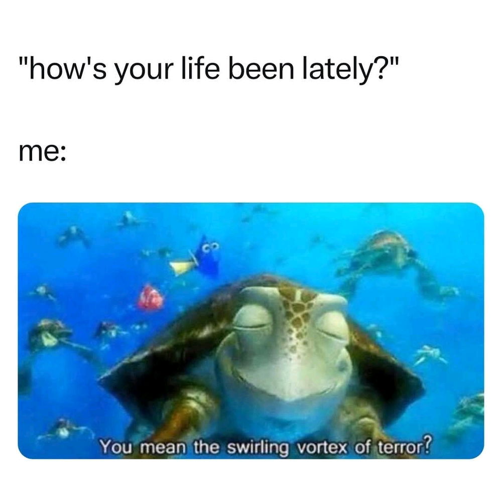 😂😂😂