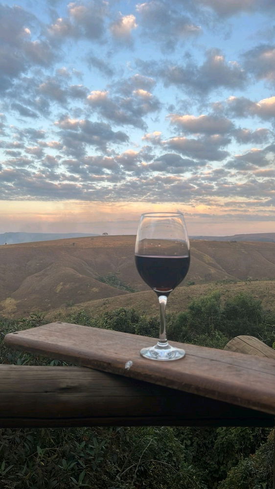 🍷