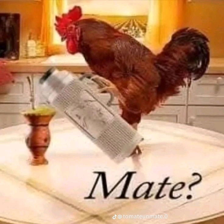 Quien para unos bueno mates