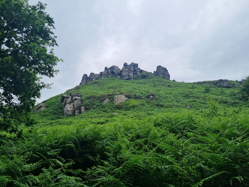 Peak Peak
