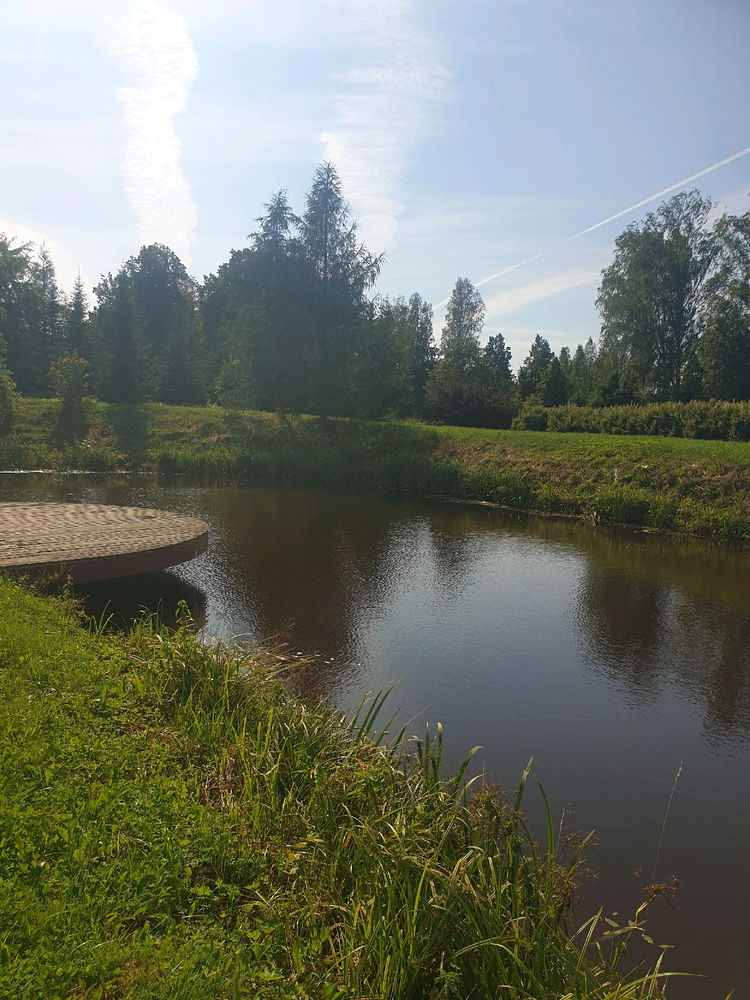 Midsummer