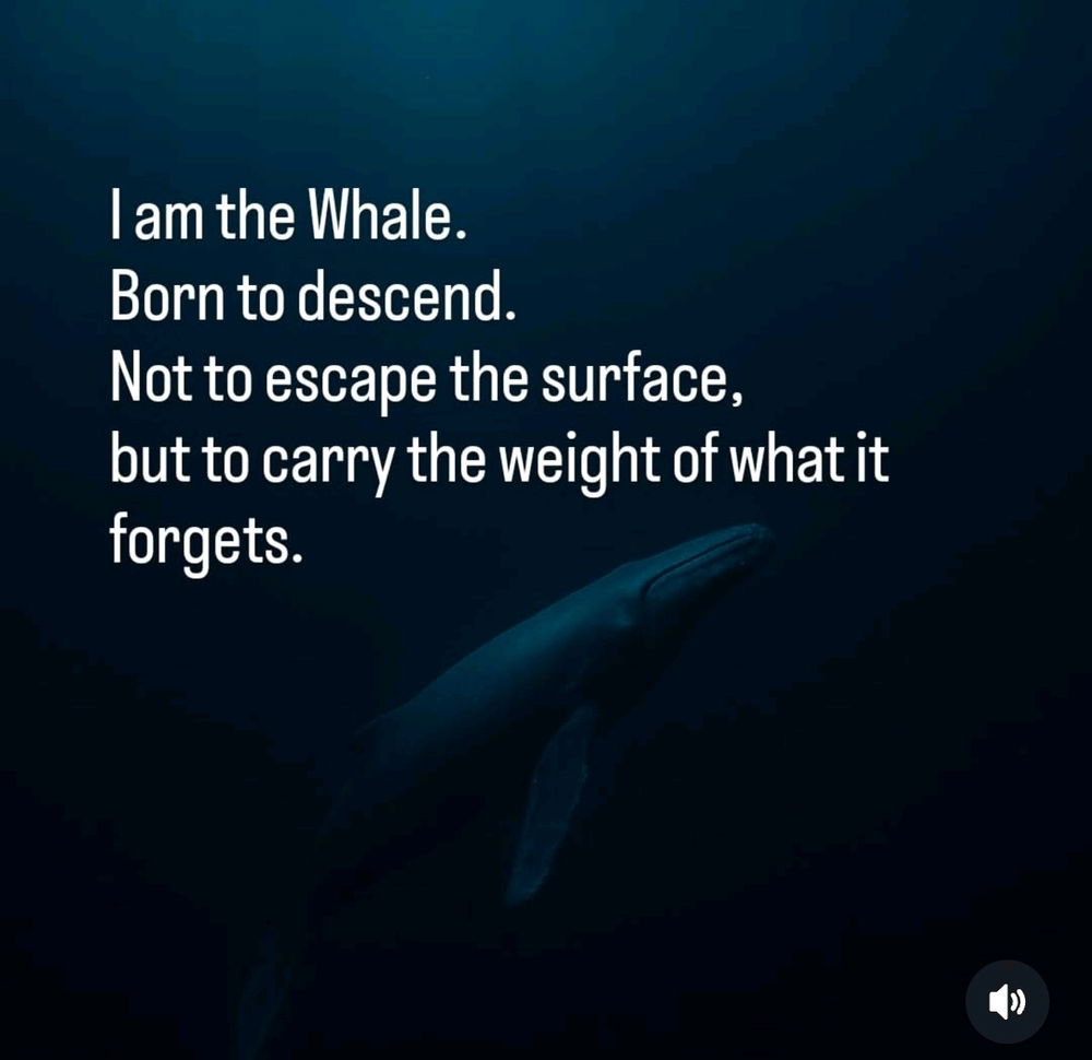 The Whale Beneath