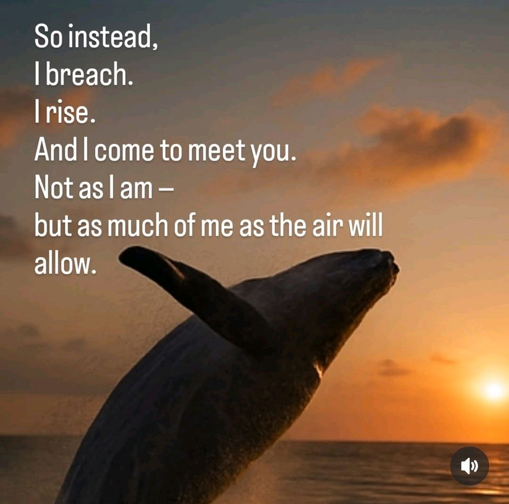 The Whale Beneath