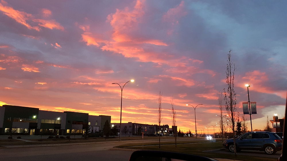 Vanilla Sky