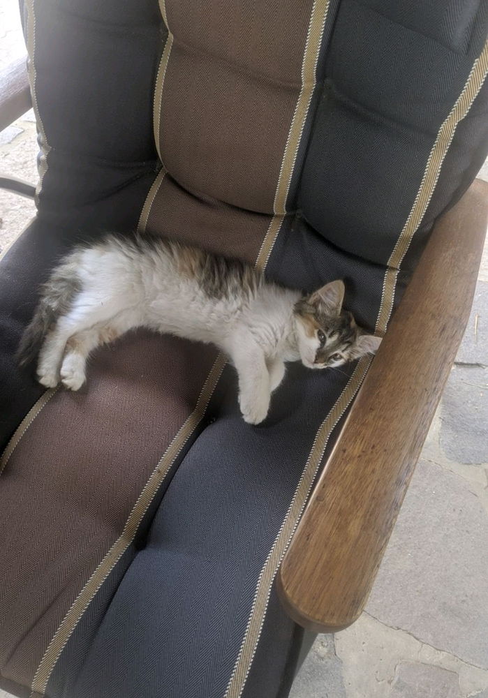 😽❣️