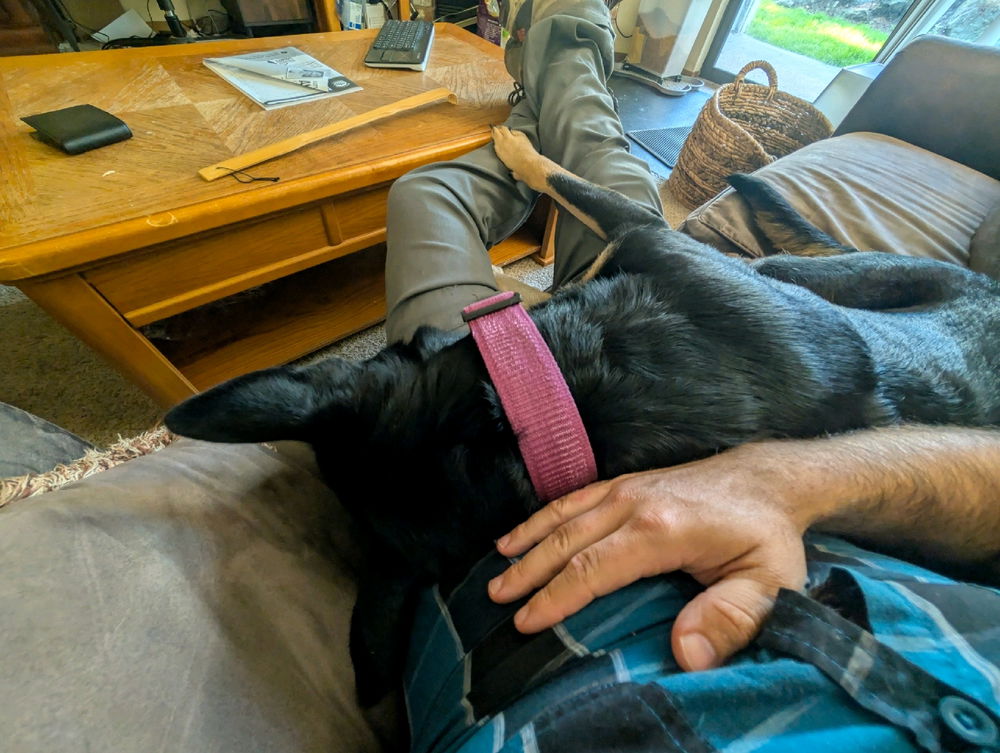 I'm stuck!!!
