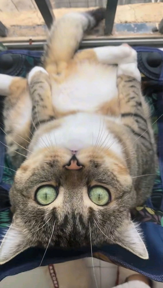 💗💗💗😻😻✨✨✨🫶🫶🫶
