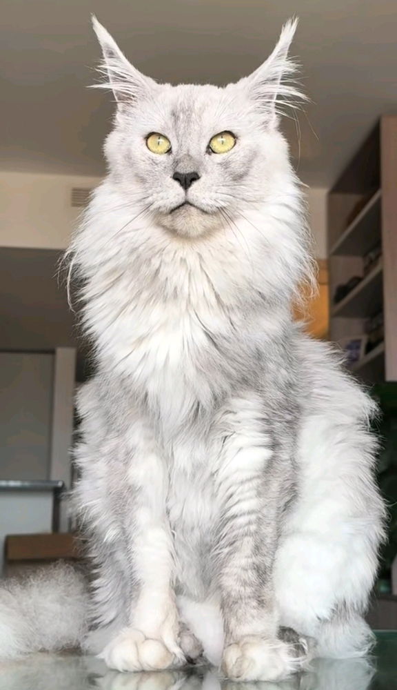 💗💗💗😻😻✨✨✨🫶🫶🫶