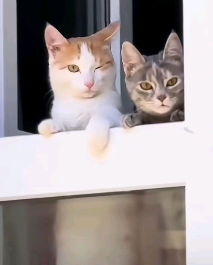 💗💗💗😻😻✨✨✨🫶🫶🫶