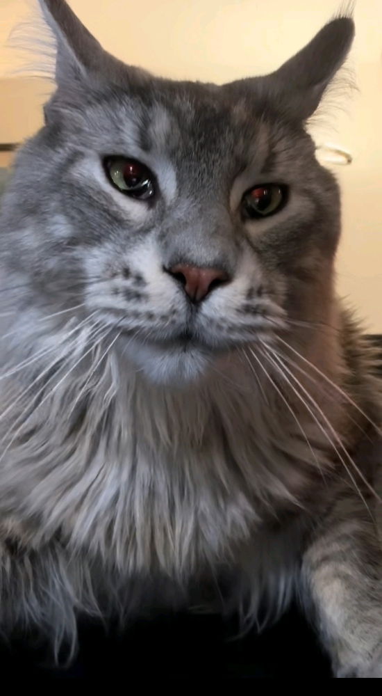 💗💗💗😻😻✨✨✨🫶🫶🫶