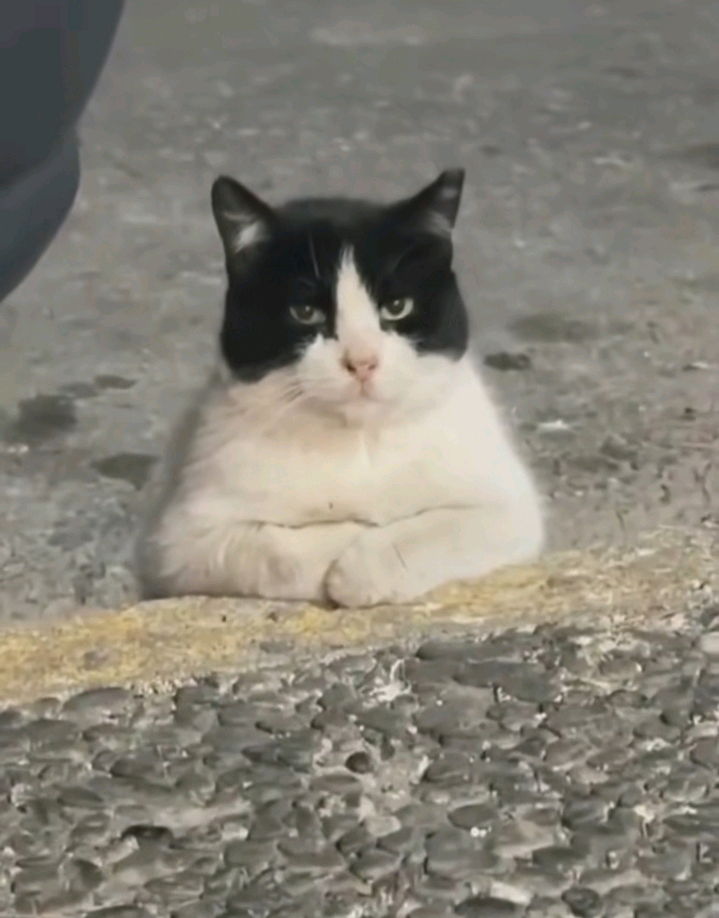 💗💗💗😻😻✨✨✨🫶🫶🫶