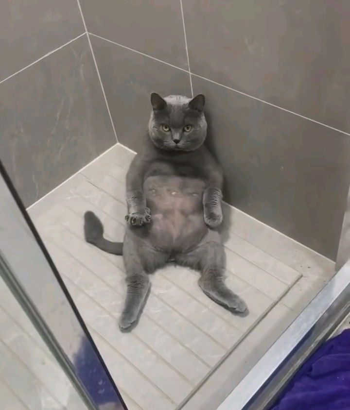 💗💗💗😻😻✨✨✨🫶🫶🫶