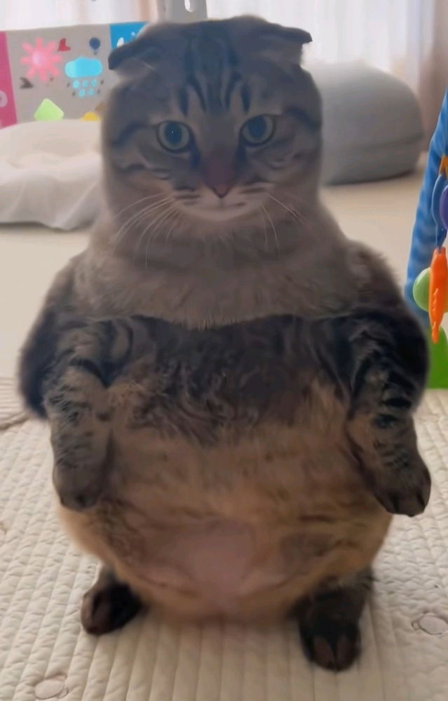 💗💗💗😻😻✨✨✨🫶🫶🫶