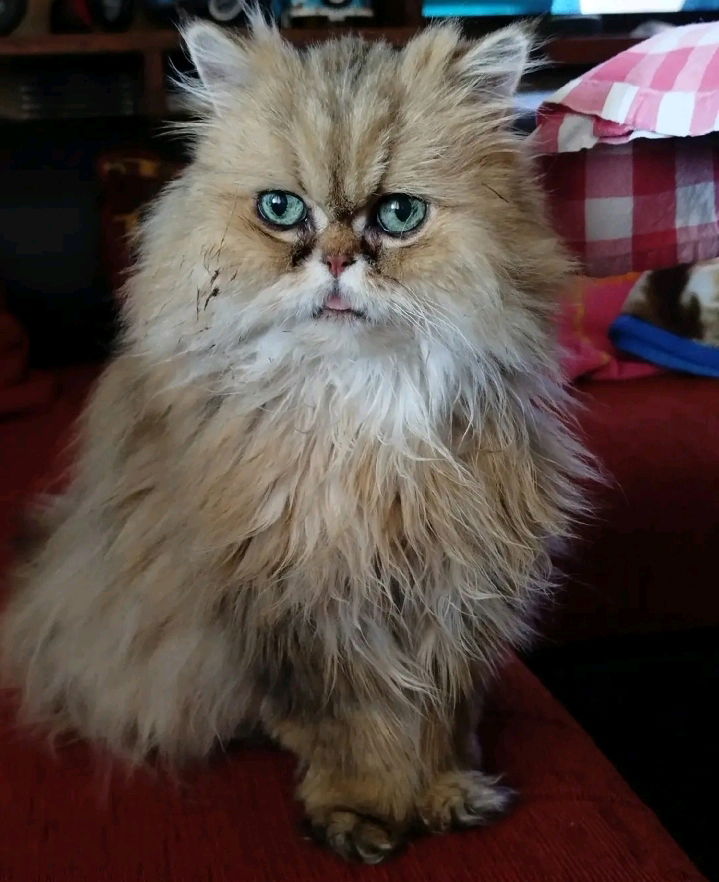 💗💗💗😻😻✨✨✨🫶🫶🫶