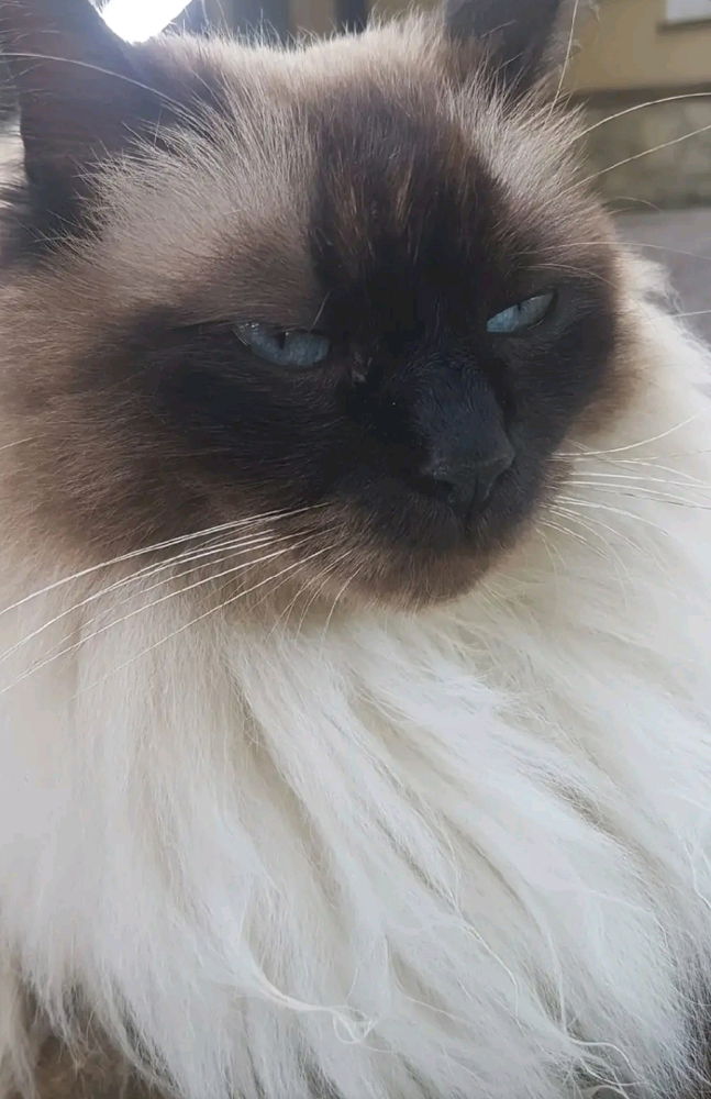 💗💗💗😻😻✨✨✨🫶🫶🫶