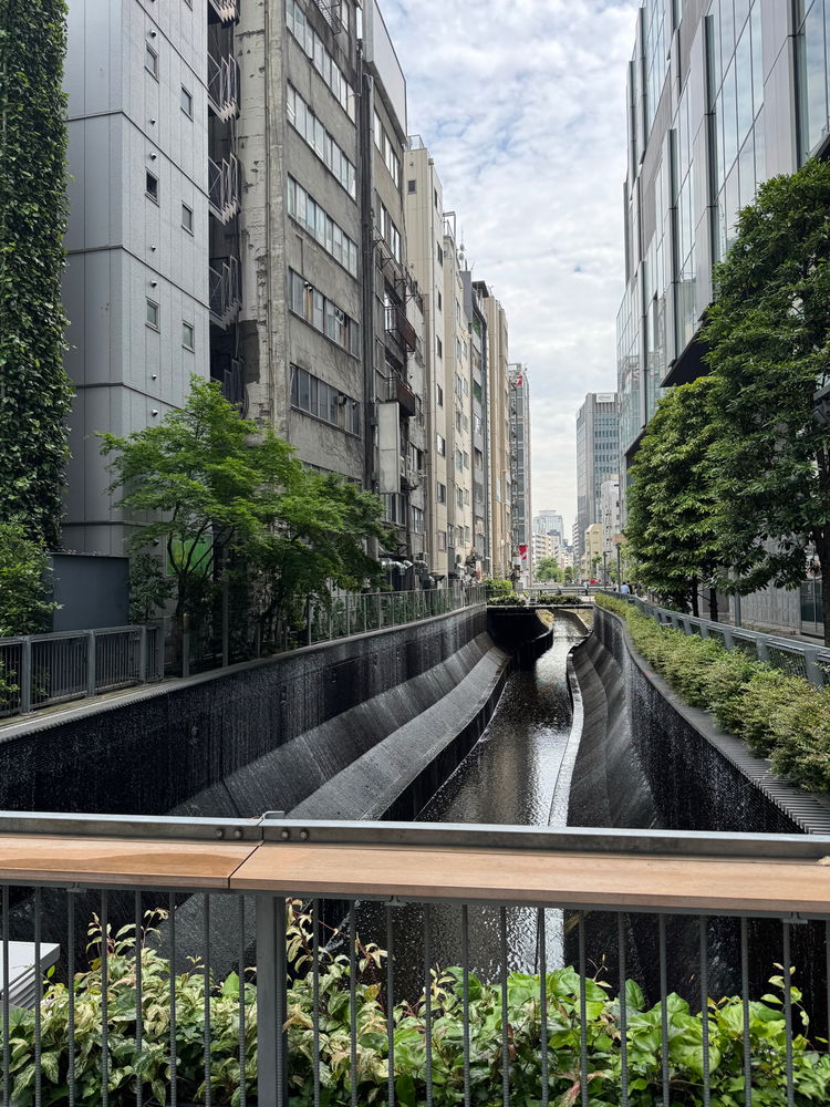 First time in tokyo